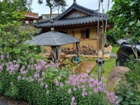 정선군의 해변 바로 앞 휴가지 숙소 - 강원도, 한국 | 에어비앤비