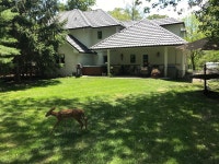 반려동물 동반 가능 세인트찰스 휴가지 숙소 - 일리노이, 미국 | 에어비앤비