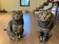 Haean-dong 휴가 숙소 & 숙박시설 - Haean-dong, 제주시, 한국 | 에어비앤비