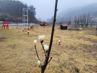청주시의 별장 휴가지 숙소 | 에어비앤비