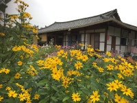 Uisin-myeon 휴가 숙소 & 숙박시설 - Uisin-myeon, Jindo-gun, 한국 | 에어비앤비