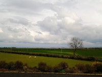 Macosquin 휴가 숙소 & 숙박시설 - Northern Ireland, 영국 | 에어비앤비