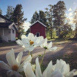 스티에르달의 주택 휴가지 숙소 - Trøndelag, 노르웨이 | 에어비앤비