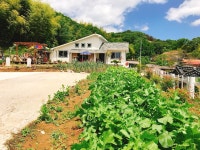 하동, 한국 Vacation Rentals - Airbnb