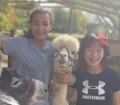 장기 숙박이 가능한 Rock Spring의 가구 완비 숙소 | 에어비앤비