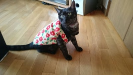 Kushiro에 있는 온베쓰역 근처 숙소 - Onbetsuchō Motomachi, Kushiro, 일본 | 에어비앤비