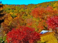 화로가 있는 Unicoi County 휴가지 숙소 - 미국 | 에어비앤비