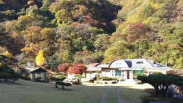포항시, 한국 Vacation Rentals - Airbnb