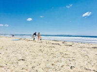 궁전 놀이터, 올드 오차드 비치, 메인 Vacation Rentals (4.9 out of 5) - Airbnb