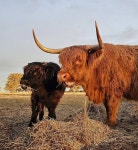 코브럼 휴가 숙소 & 숙박시설 - 빅토리아, 오스트레일리아 | 에어비앤비