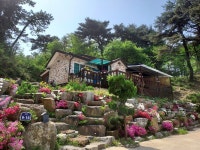 온정면, 한국 Vacation Rentals - Airbnb