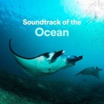 Soundtrack of the Ocean Songs Download: Soundtrack of the Ocean MP3 Instrumental Songs Online Free on Gaana.com Soundtrack of the... 