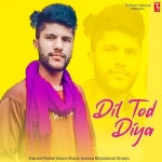 MP3 Songs Online Free on Gaana.com Dil Tod Diya Songs: Dil Tod Diya MP3 Songs by Passan Recording Studio Online Free on Gaana.com