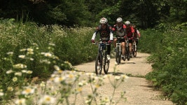 오늘의 TV | 온에어 | 전 국민의 평생학교 EBS 『TV 입학사정관』경기도 부천고등학교