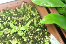 오늘의 TV | 온에어 | 전 국민의 평생학교 EBS 『TV 입학사정관』경기도 부천고등학교