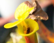 오늘의 TV | 온에어 | 전 국민의 평생학교 EBS 『TV 입학사정관』경기도 부천고등학교