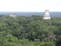 오늘의 TV | 온에어 | 전 국민의 평생학교 EBS 세계테마기행 [따봉! 브라질 1부]