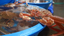 오늘의 TV | 온에어 | 전 국민의 평생학교 EBS 지식채널e [5초 감옥]