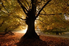 오늘의 TV | 온에어 | 전 국민의 평생학교 EBS 부모-생활보감 [누룩재 마을 귀촌 부부의 특별한 설날]