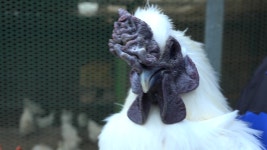 오늘의 TV | 온에어 | 전 국민의 평생학교 EBS 부모-생활보감 [누룩재 마을 귀촌 부부의 특별한 설날]