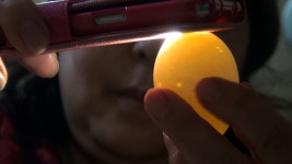 오늘의 TV | 온에어 | 전 국민의 평생학교 EBS 부모-생활보감 [누룩재 마을 귀촌 부부의 특별한 설날]