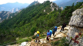 오늘의 TV | 온에어 | 전 국민의 평생학교 EBS 지식채널e [시詩와 할매 - 평균 나이 84세, 칠곡 할매 시인들의 이야기 ‘시가 뭐고?’]