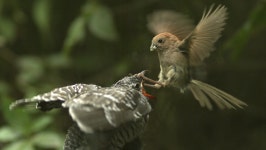 오늘의 TV | 온에어 | 전 국민의 평생학교 EBS 지식채널e [시詩와 할매 - 평균 나이 84세, 칠곡 할매 시인들의 이야기 ‘시가 뭐고?’]