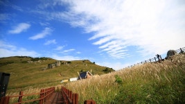 오늘의 TV | 온에어 | 전 국민의 평생학교 EBS 세계테마기행 [첫눈이 내리면, 시베리아 - 1부. 세상에서 가장 추운 마을 오이먀콘]