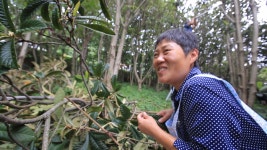 오늘의 TV | 온에어 | 전 국민의 평생학교 EBS 세계테마기행 [저 푸른 초원 위에, 몽골 - 제3부. 쉼이 있는 풍경, 엘승 타사르하이와 호탁 온도르]