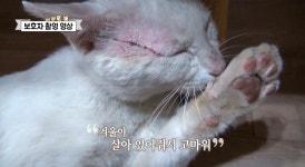 오늘의 TV | 온에어 | 전 국민의 평생학교 EBS 메디컬 다큐-7요일 [형이라는 이름으로 - 골화석증 외]