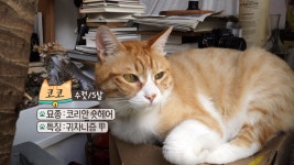 오늘의 TV | 온에어 | 전 국민의 평생학교 EBS 아티스트의 북국여행 [3부. 밴드 옥상달빛 편]