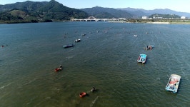 오늘의 TV | 온에어 | 전 국민의 평생학교 EBS 최고의 요리비결 [김치 명인이 알려주는 성공 100 김장 담그기 이하연 요리연구가]