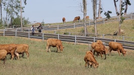 오늘의 TV | 온에어 | 전 국민의 평생학교 EBS 북채널e [최초의 한글전용 가로쓰기 잡지 <뿌리깊은 나무>]