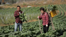 오늘의 TV | 온에어 | 전 국민의 평생학교 EBS EBS 비즈니스 리뷰 플러스 [“‘인공지능’이란 무엇인가”]