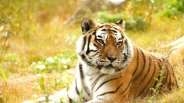 오늘의 TV | 온에어 | 전 국민의 평생학교 EBS EBS 비즈니스 리뷰 플러스 [“‘인공지능’이란 무엇인가”]