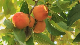 오늘의 TV | 온에어 | 전 국민의 평생학교 EBS EBS 비즈니스 리뷰 플러스 [비즈니스를 바꾼 IT의 역사]