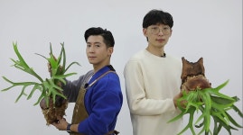 오늘의 TV | 온에어 | 전 국민의 평생학교 EBS 소소한 행복 정원일기 [자취방의 기적]