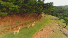 오늘의 TV | 온에어 | 전 국민의 평생학교 EBS 생방송 톡!톡! 보니하니 [살리도2-좀비 시티]