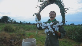 오늘의 TV | 온에어 | 전 국민의 평생학교 EBS EBS 비즈니스 리뷰 플러스 [음료 속 이야기를 마시다 3강. 커피, 이성의 시대를 깨우다]