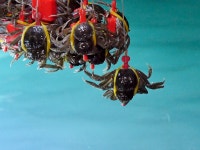 오늘의 TV | 온에어 | 전 국민의 평생학교 EBS EBS 비즈니스 리뷰 플러스 [음료 속 이야기를 마시다 3강. 커피, 이성의 시대를 깨우다]