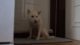 오늘의 TV | 온에어 | 전 국민의 평생학교 EBS EBS 비즈니스 리뷰 플러스 [비전공자도 쉽게 배우는 IT 기초지식 5부. 웹과 애플리케이션... 