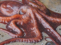 오늘의 TV | 온에어 | 전 국민의 평생학교 EBS 일단 해봐요 생방송 오후 1시 [헌 옷 줄게 새 옷 다오, 돈 버는 내 옷장 사용설명서]