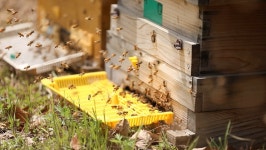 오늘의 TV | 온에어 | 전 국민의 평생학교 EBS EBS 비즈니스 리뷰 플러스 [진짜’ 소비자를 파악하는 방법, 행동경제학 4부.소비자가 선택하는... 