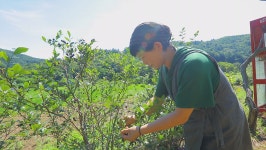 오늘의 TV | 온에어 | 전 국민의 평생학교 EBS 한국기행 [여름 산골 밥상 2부. 금손 남자 약손 여자]