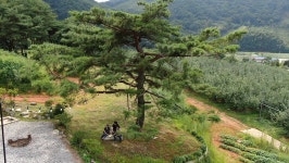 오늘의 TV | 온에어 | 전 국민의 평생학교 EBS 세계테마기행 [스페셜 - 대륙의 맛을 찾아서 1부.익숙한 맛味, 설레는 맛味]