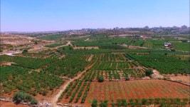 오늘의 TV | 온에어 | 전 국민의 평생학교 EBS EBS 비즈니스 리뷰 플러스 [최원설, 이재하, 고은비의 세대공감 직장생활 백서 3부. XYZ세대별... 