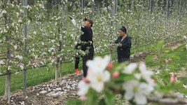 오늘의 TV | 온에어 | 전 국민의 평생학교 EBS 한국기행 [내 인생의 한 끼 4부.너의 청춘을 응원해]