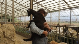 오늘의 TV | 온에어 | 전 국민의 평생학교 EBS 한국의 둘레길 [배우 김민종과 김섬주의 울산 울주길 2부. 자연이 치유해 줄게요]