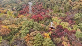 오늘의 TV | 온에어 | 전 국민의 평생학교 EBS 고향민국 [서귀포, 탐나도다 3부. 서귀포, 탐나는 맛 감귤과 메밀]