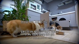 오늘의 TV | 온에어 | 전 국민의 평생학교 EBS 최고다! 호기심딱지 [아토피피부염 편]